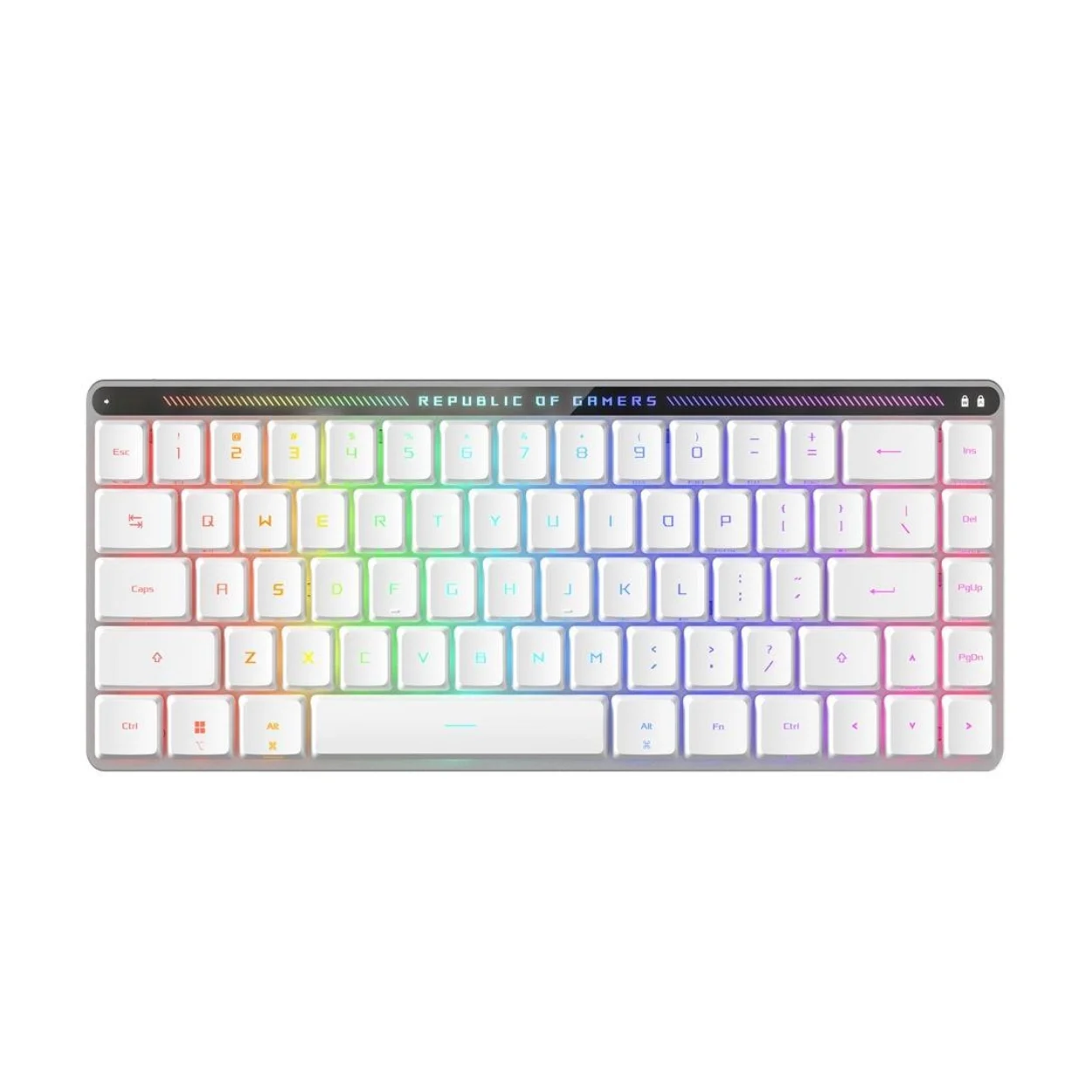 คีย์บอร์ดไร้สาย สีขาว ภาษาอังกฤษ ASUS M603 Falchion Low Profile RXRed Keyboard (พิมพ์ไว สมูท เสียงเบา)