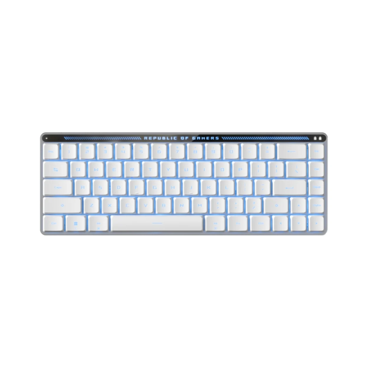 คีย์บอร์ดไร้สาย สีขาว ภาษาอังกฤษ ASUS M603 Falchion Low Profile RXBlue Keyboard (พิมพ์แล้วมีเสียงคลิก และได้แรงต้าน 2 จังหวะ)